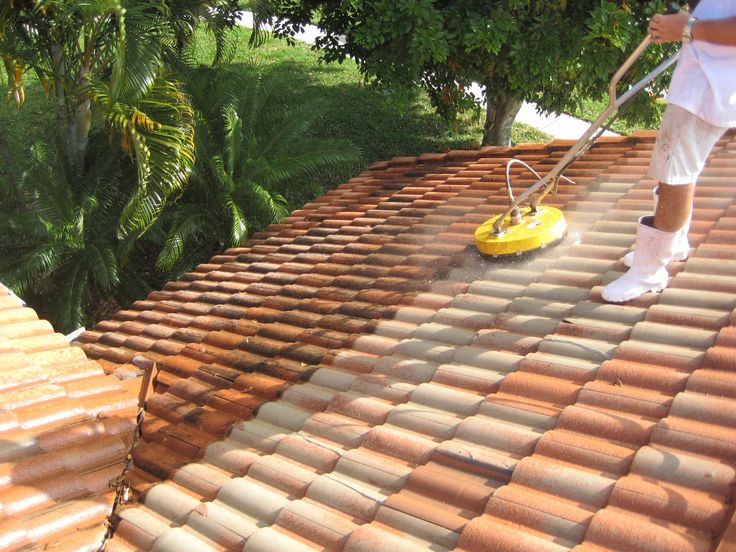 Roof Cleaning​
