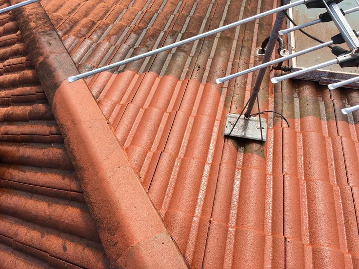 Roof Cleaning​