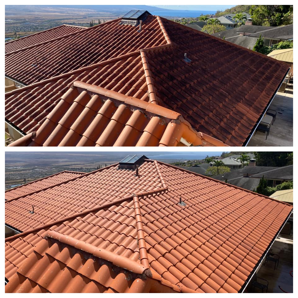 Cleaning Cedar Shingles​