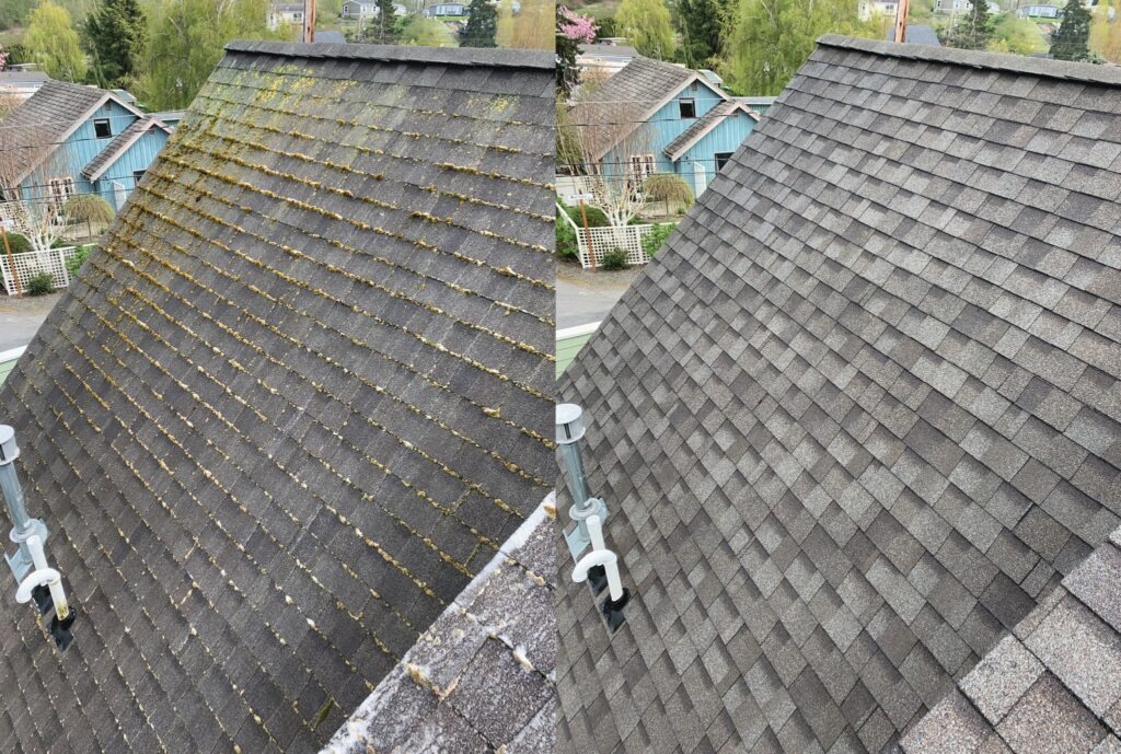 Cleaning Asphalt Roof Shingles​