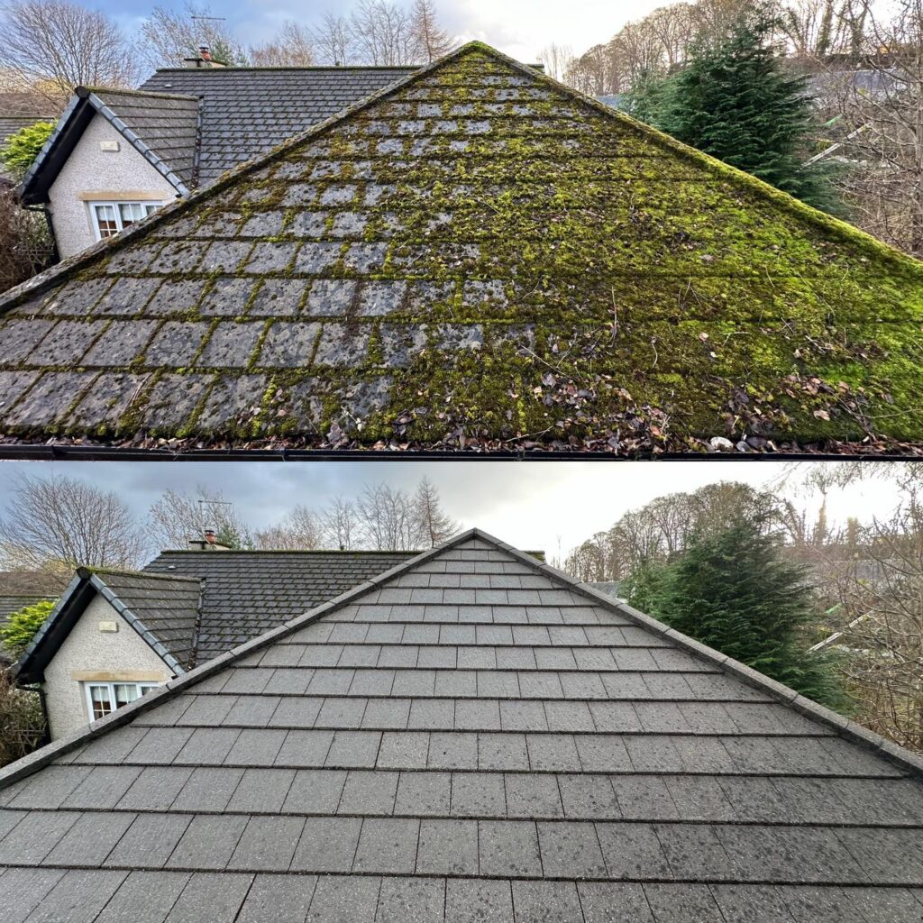 Moss Cleaning Service​