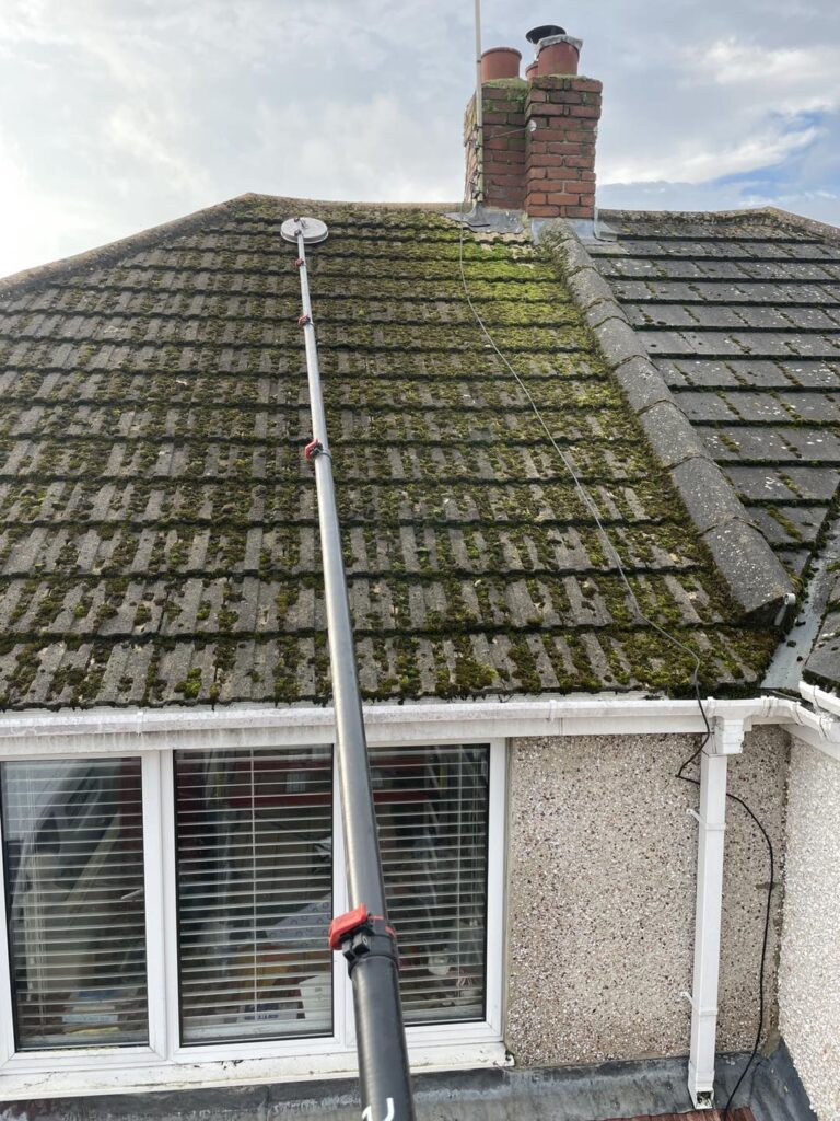 Roof Cleaning and Moss Removal​